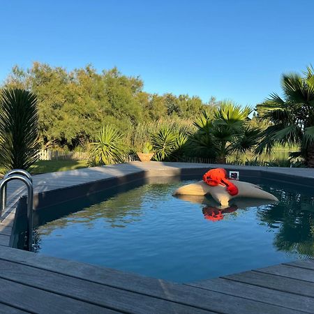 Cabane Le Flamant Avec Jardin, Piscine Et Parking Сен Мари де ла Мер Екстериор снимка