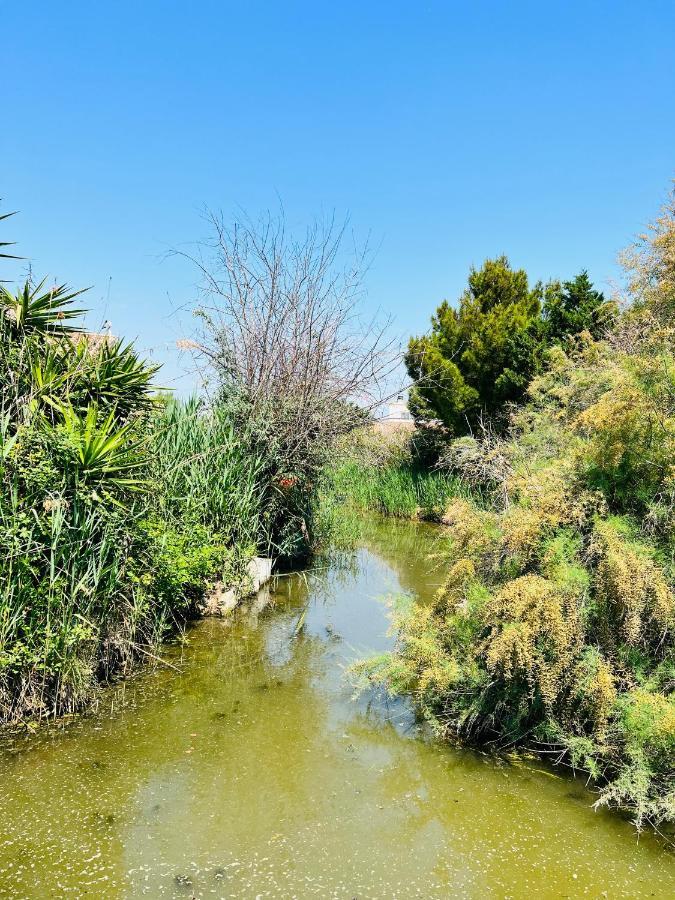 Cabane Le Flamant Avec Jardin, Piscine Et Parking Сен Мари де ла Мер Екстериор снимка
