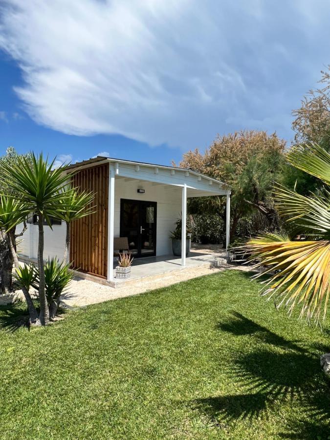 Cabane Le Flamant Avec Jardin, Piscine Et Parking Сен Мари де ла Мер Екстериор снимка